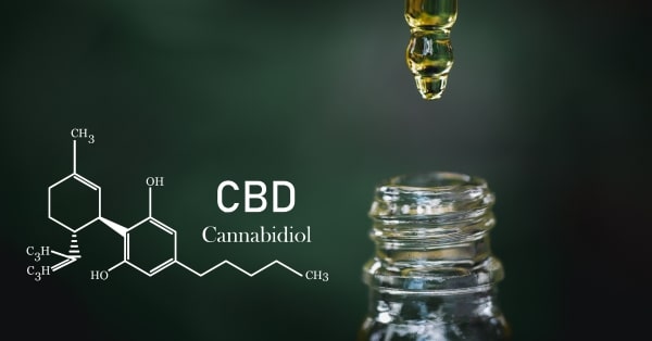 השפעת CBD על מערכת העצבים המרכזית
